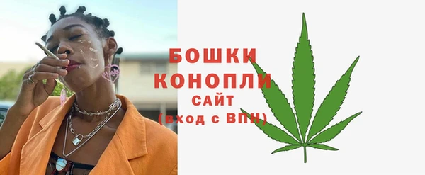 бошки Бородино