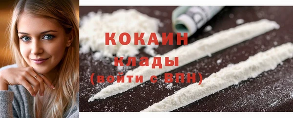 бошки Бородино