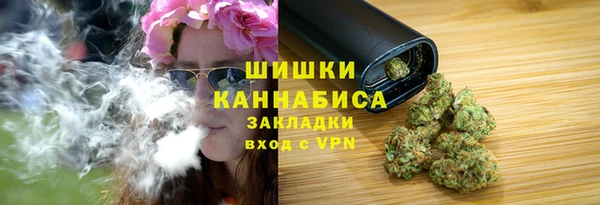 бошки Бородино