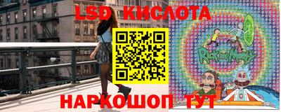 стафф Камышлов