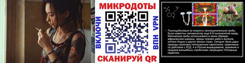 Галлюциногенные грибы Psilocybine cubensis  Мурманск 
