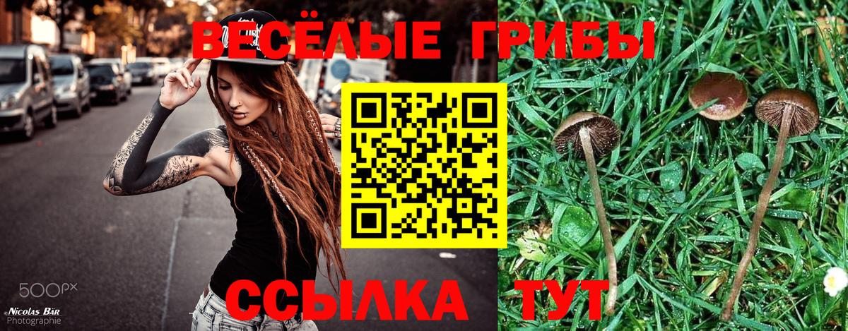Псилоцибиновые грибы мухоморы  Псилоцибиновые грибы Cubensis  Мурманск  Вход с VPN 
