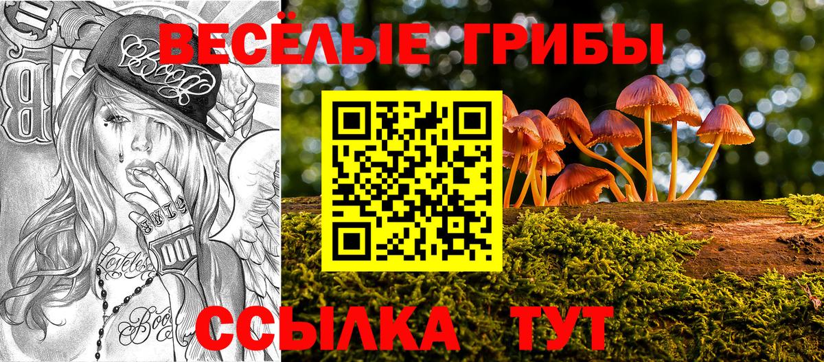 Галлюциногенные грибы прущие грибы Мурманск